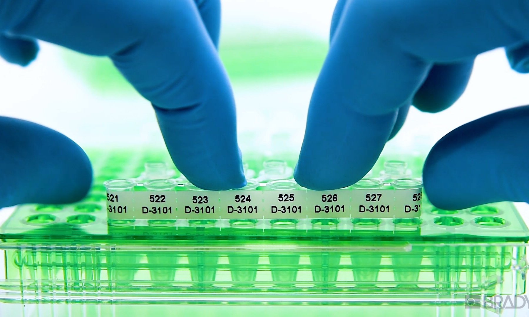 How To Label PCR Tubes and qPCR Plates