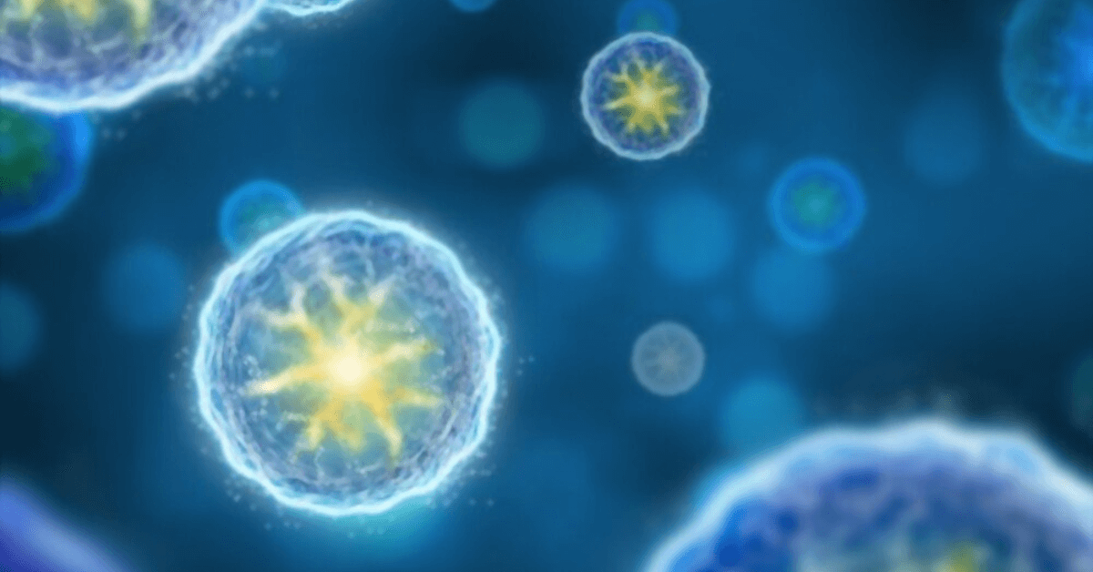 Insight Into How Cells Handle Stress