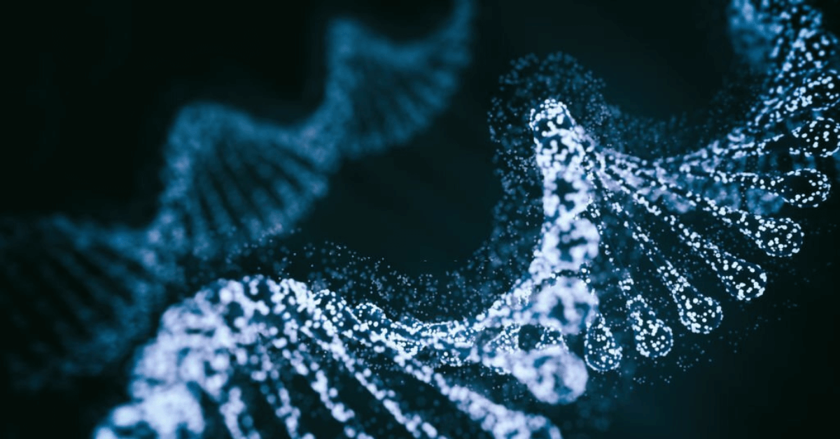 Difference Between DNA and RNA