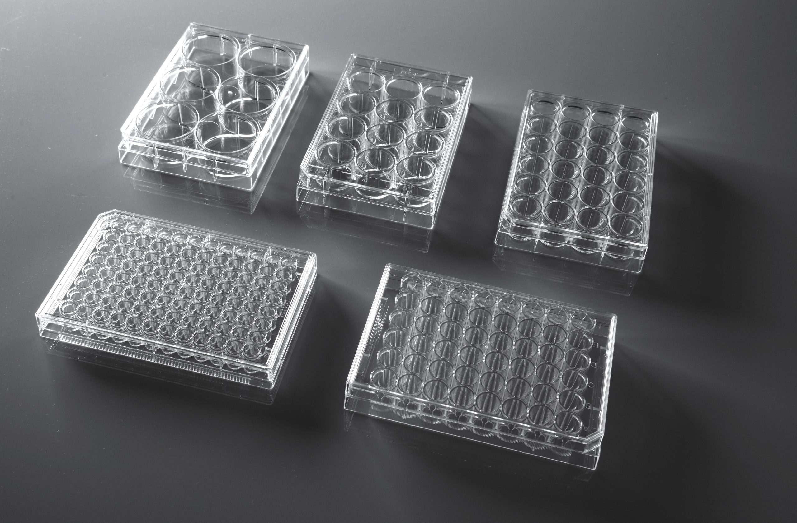 An Ultimate Guide To Cell Culture Plates