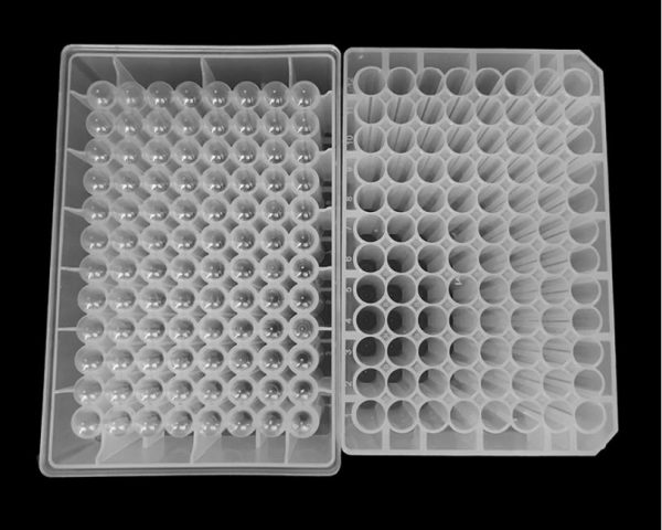 Understanding The World: Curious Places For Microbiologists To Collect Data
