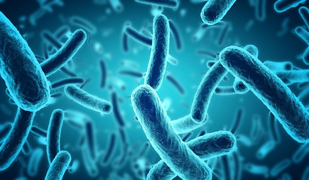 Presidents That Were Killed By Bacteria