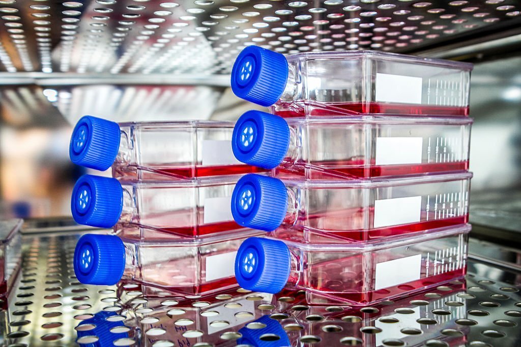 What Are The Purposes And Types Of Cell Culture Plates?