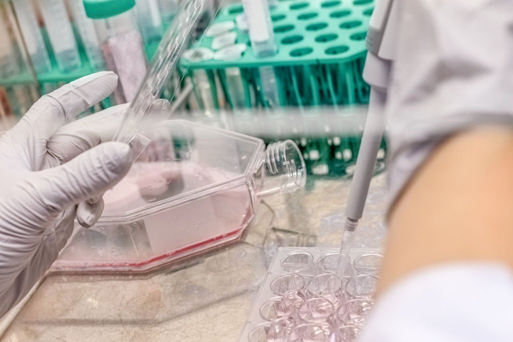 A Look At How The Development, Imaging, And Analysis Of Automated Organoid Cell Cultures Works