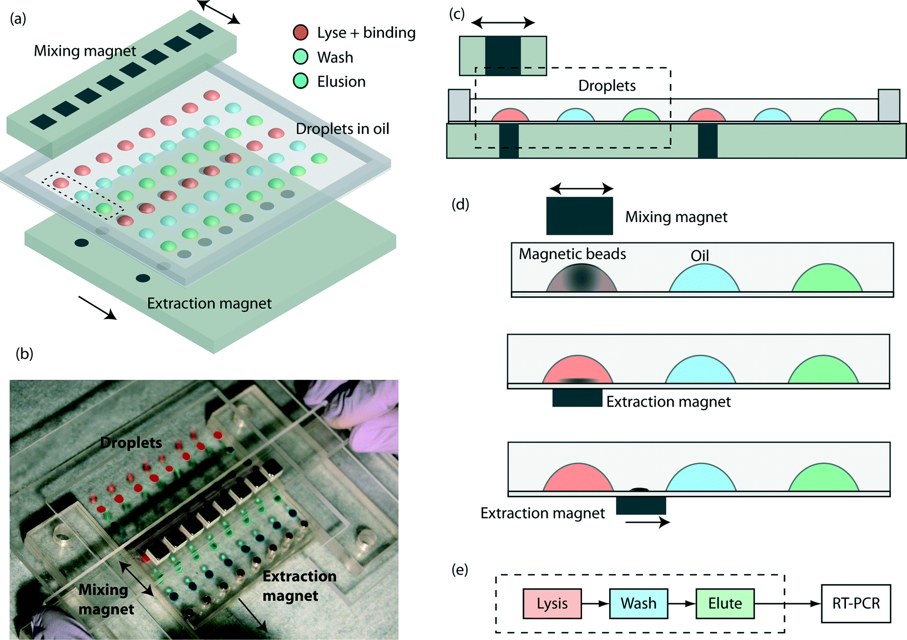 Extraction of Parallel RNA Using Magnetic Beads and a Droplet Array