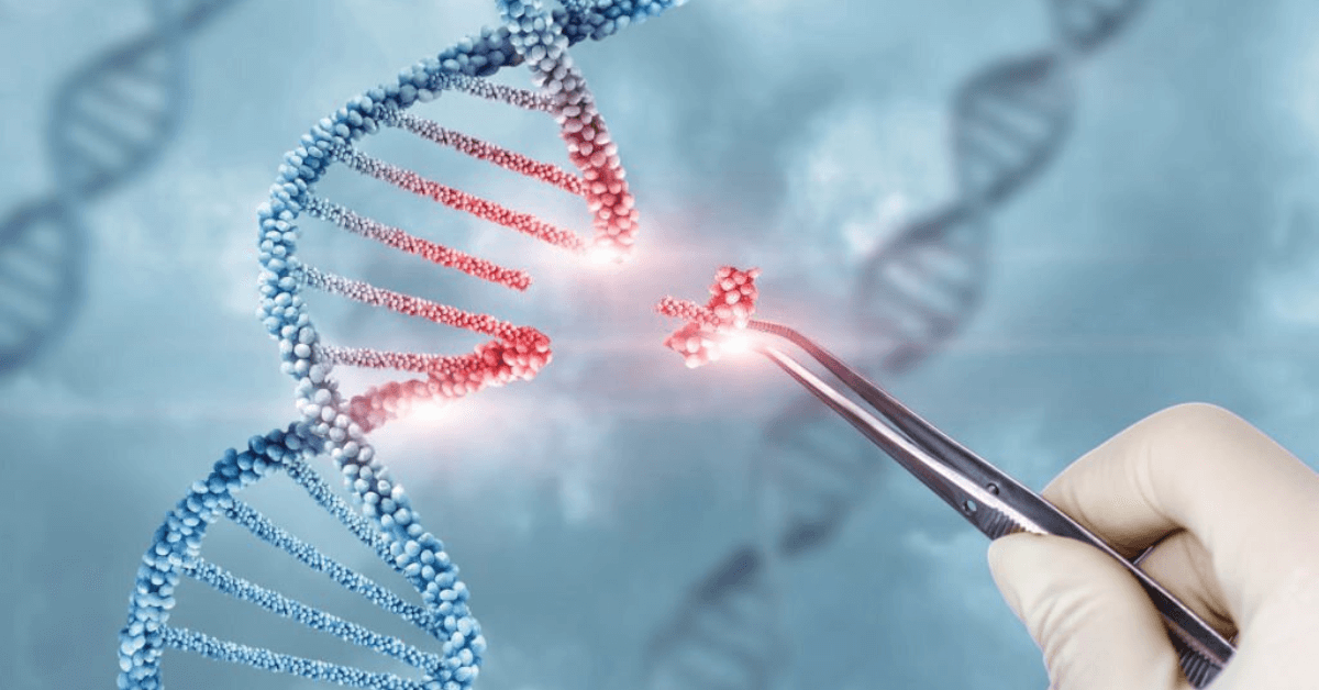 Mitigating Chalkiness In Rice: A Gene-Editing Breakthrough For Warmer Climates