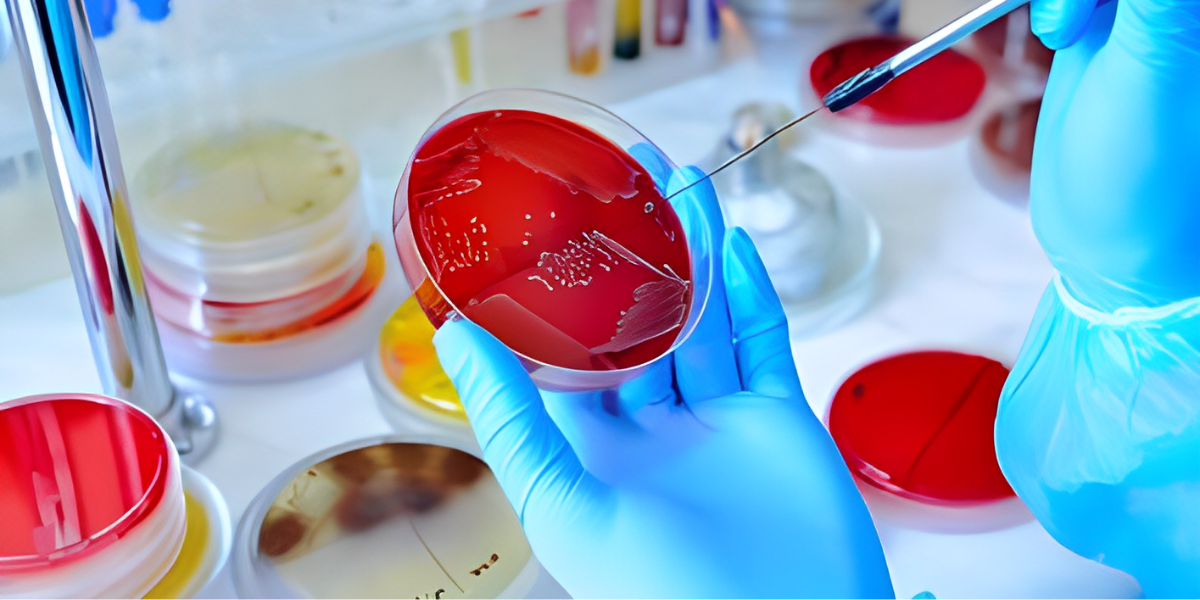 Why Is Microbiology Research Important?