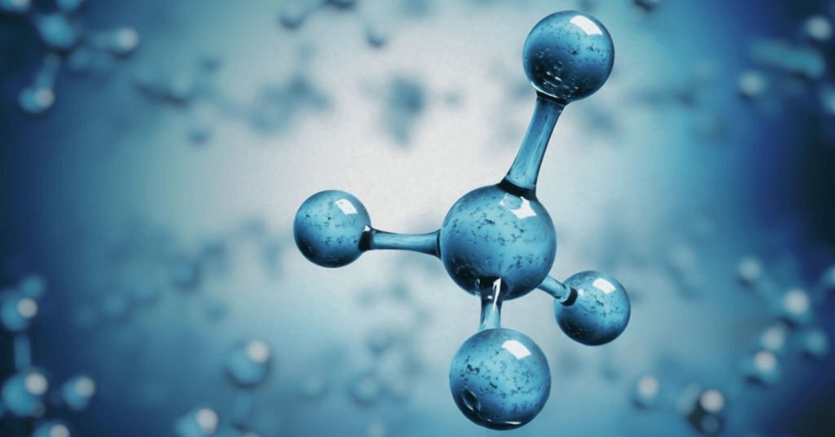 Evolution of Molecular Biology