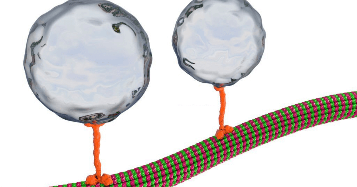 Molecular Motors: A New Scientist Discovery