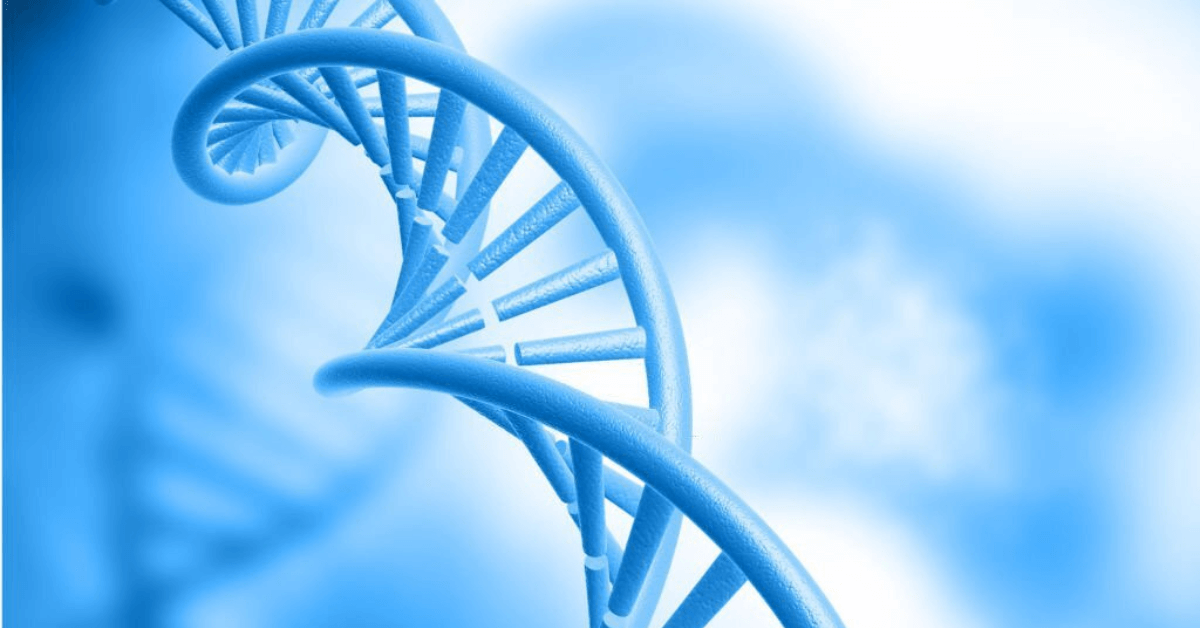 Tips For Optimal DNA Loading And Visualization By 1kb plus DNA ladder & SafeView DNA stain