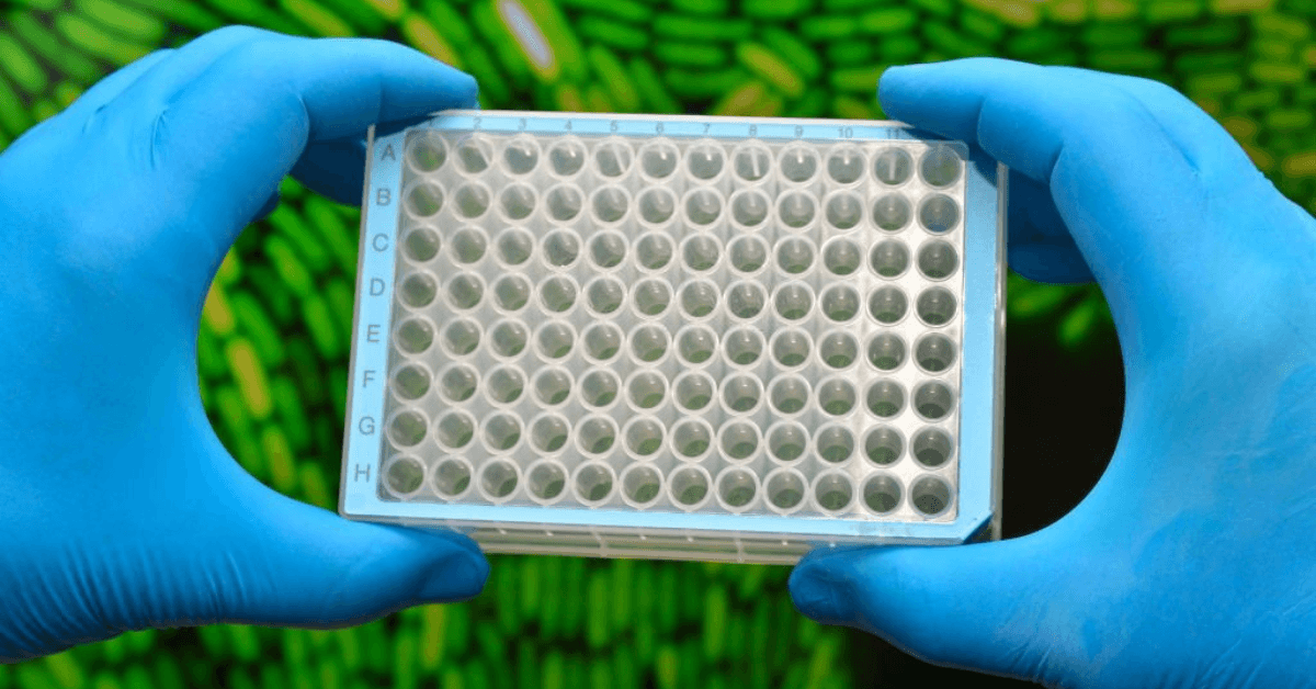 PCR Plates: A Popular Laboratory Disposable Consumable for Molecular Biology Research