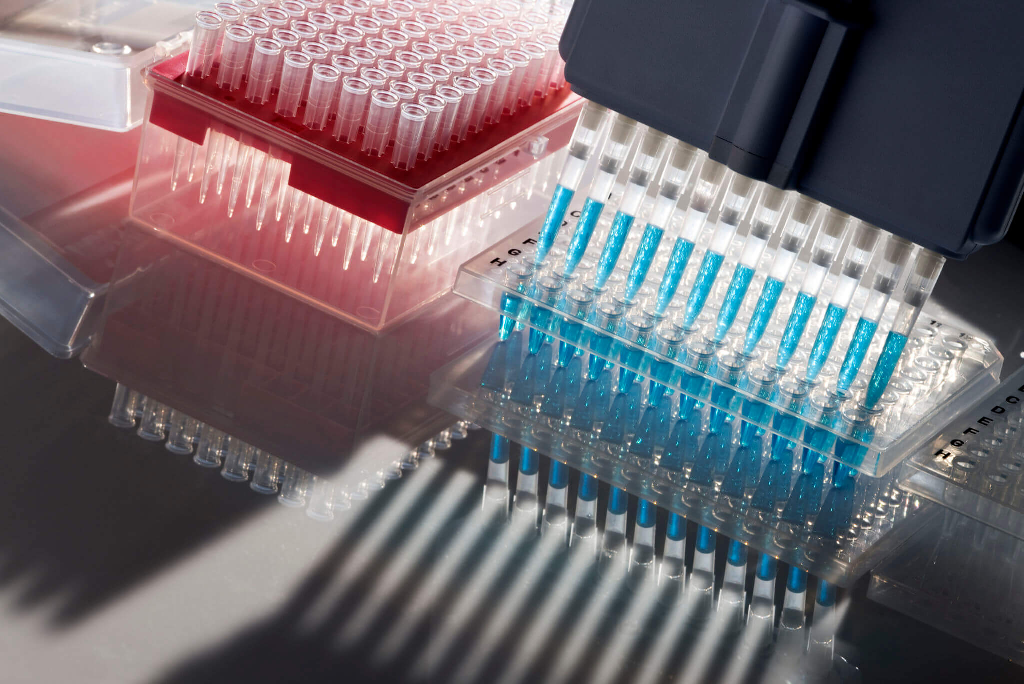All You Need To Know About Pipette Tips And Their Advantages
