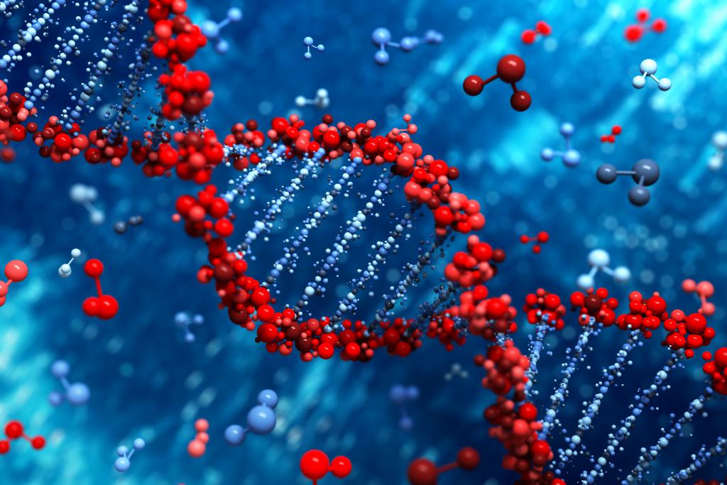 What Is The Principle Of PCR?