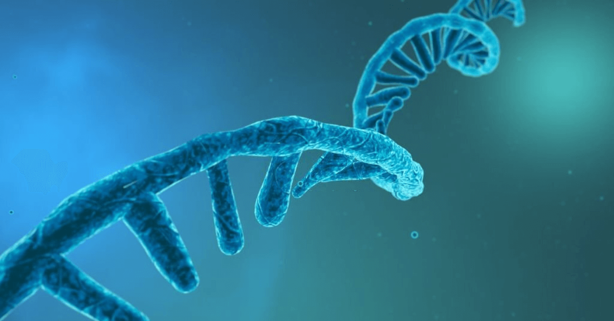 The Importance Of High-Quality RNA Isolation In Molecular Biology Experiments