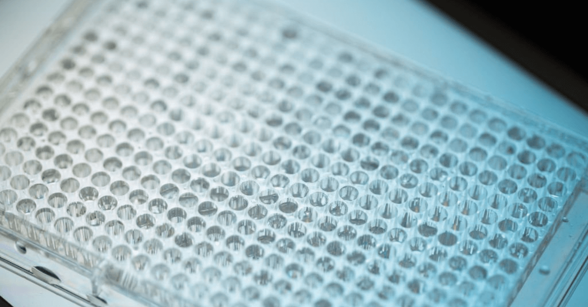 4 Key Points To Consider Before Selecting The Right PCR Plate