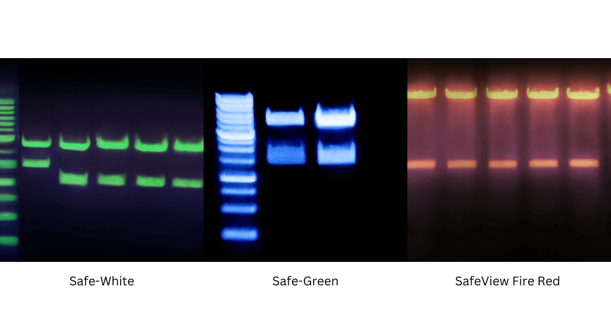Top 7 Features of Safe View Plus