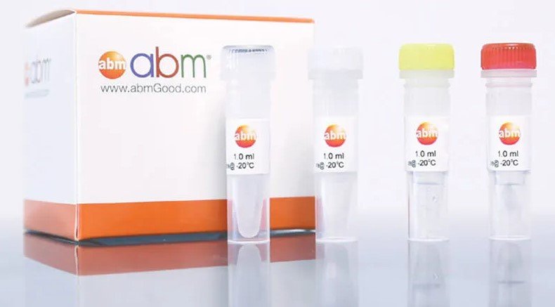 Step-by-Step: How to Use a Mycoplasma PCR Detection Kit Effectively