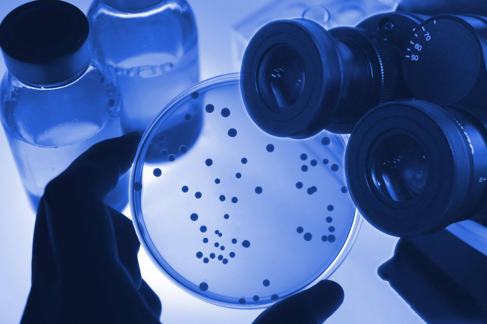 7 Career Paths For Microbiologists To Pursue