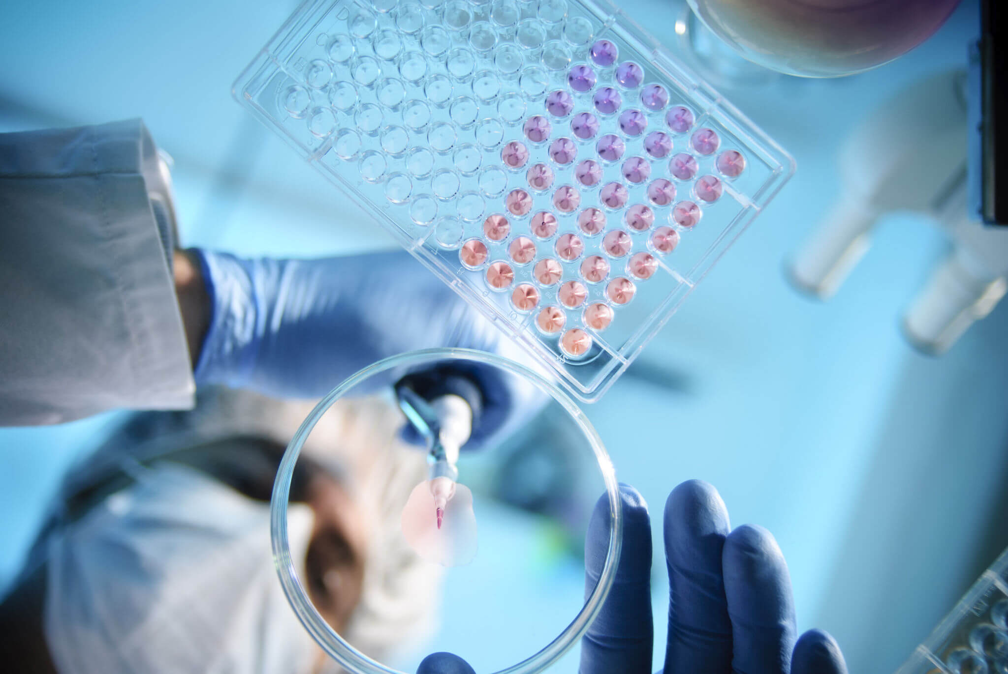 A Complete Guide to Pipette Maintenance