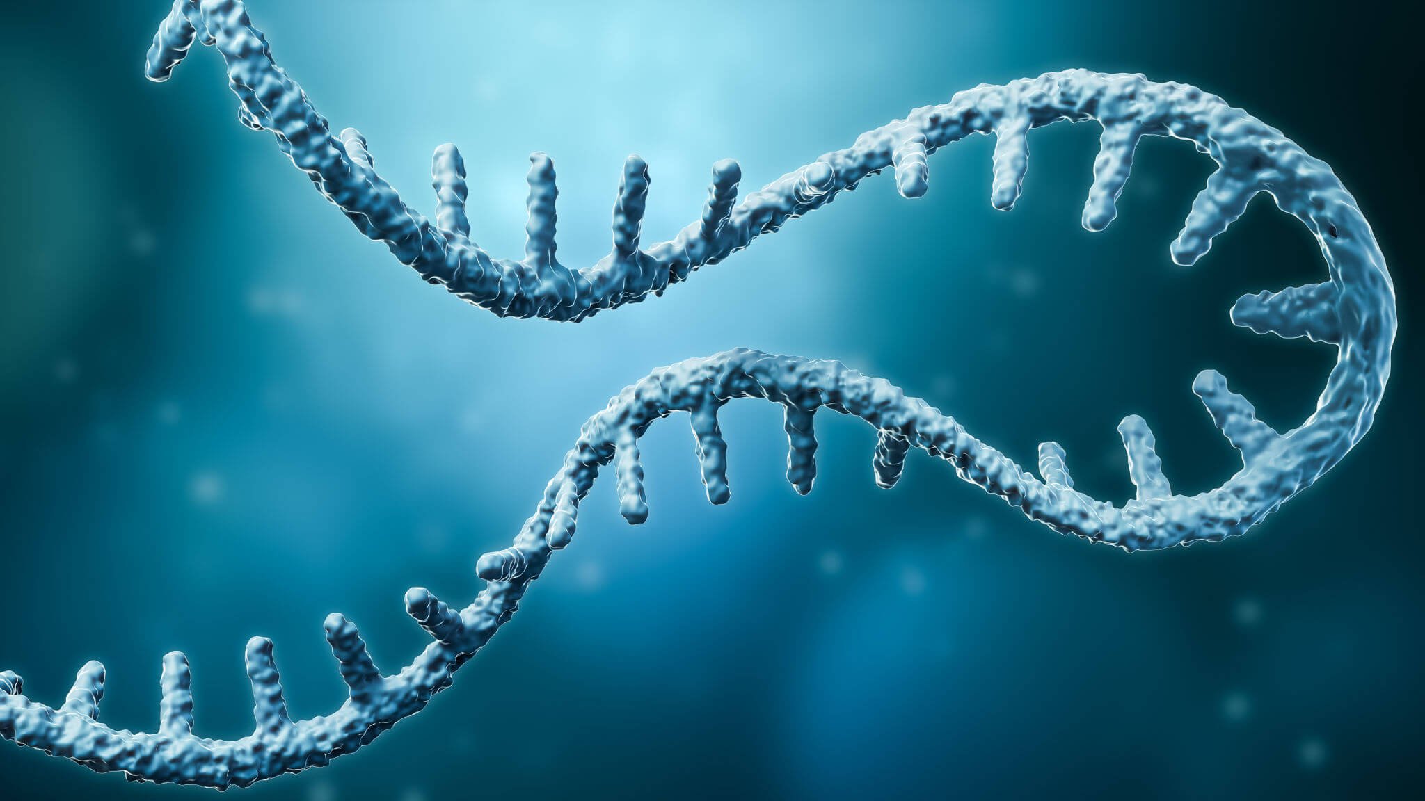 DNA and mRNA Vaccines: A Basic Comparison