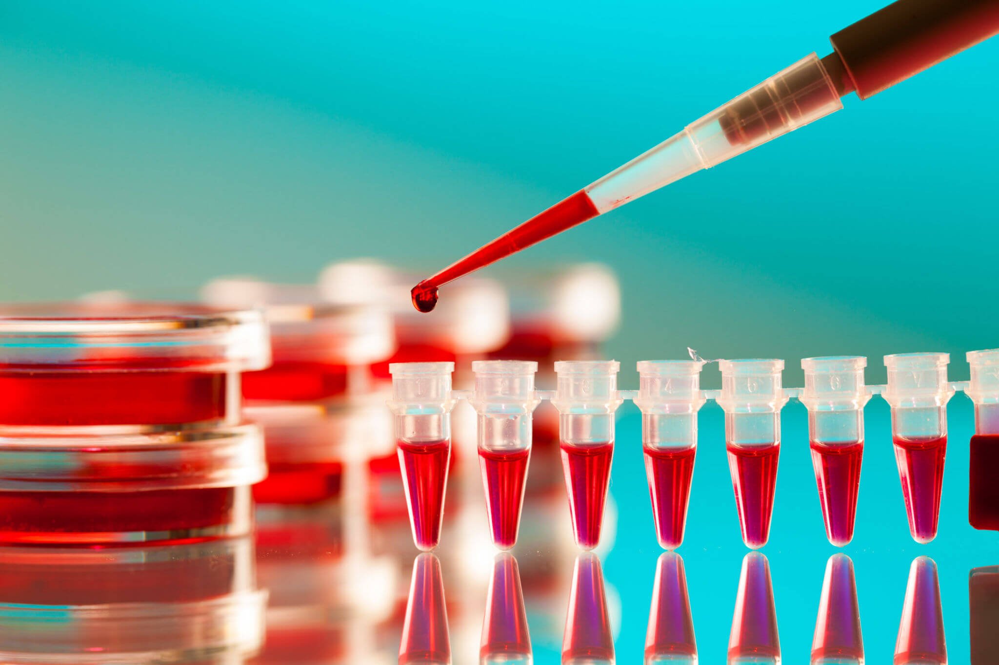 The Overview Of 96 Well PCR Plates