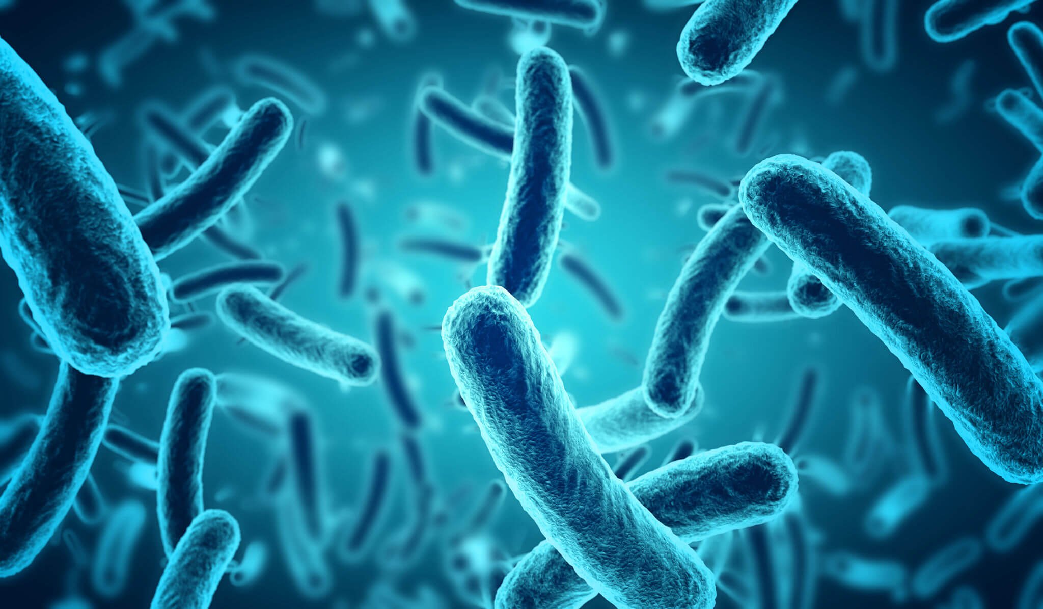 Fight against bacteria: An Attempt to Understand Phage Therapy Better