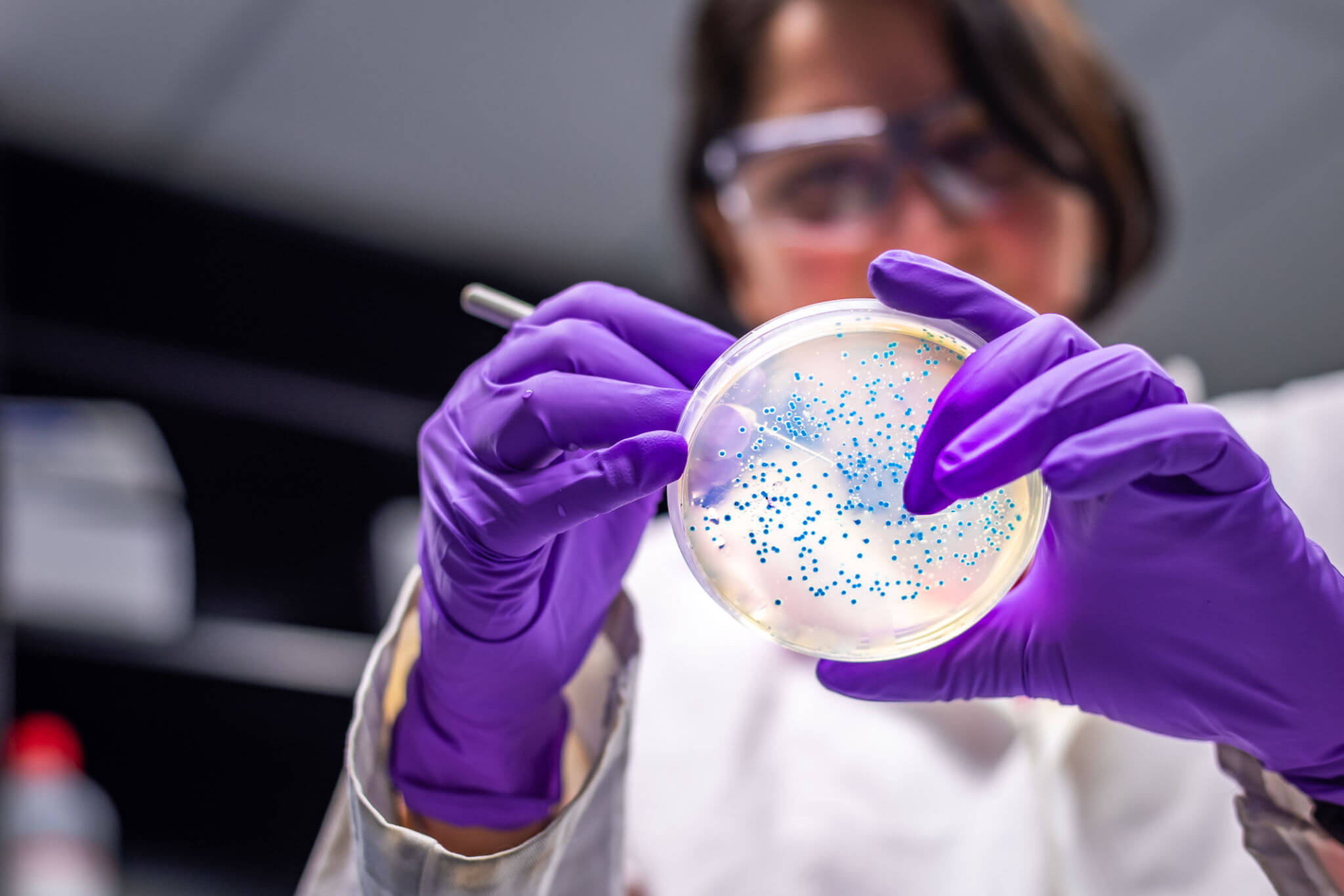 What Is Polymerase Chain Reaction & How Does It Work?