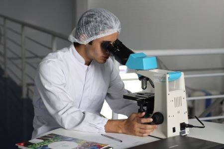 Career Prospects For Molecular Biologists