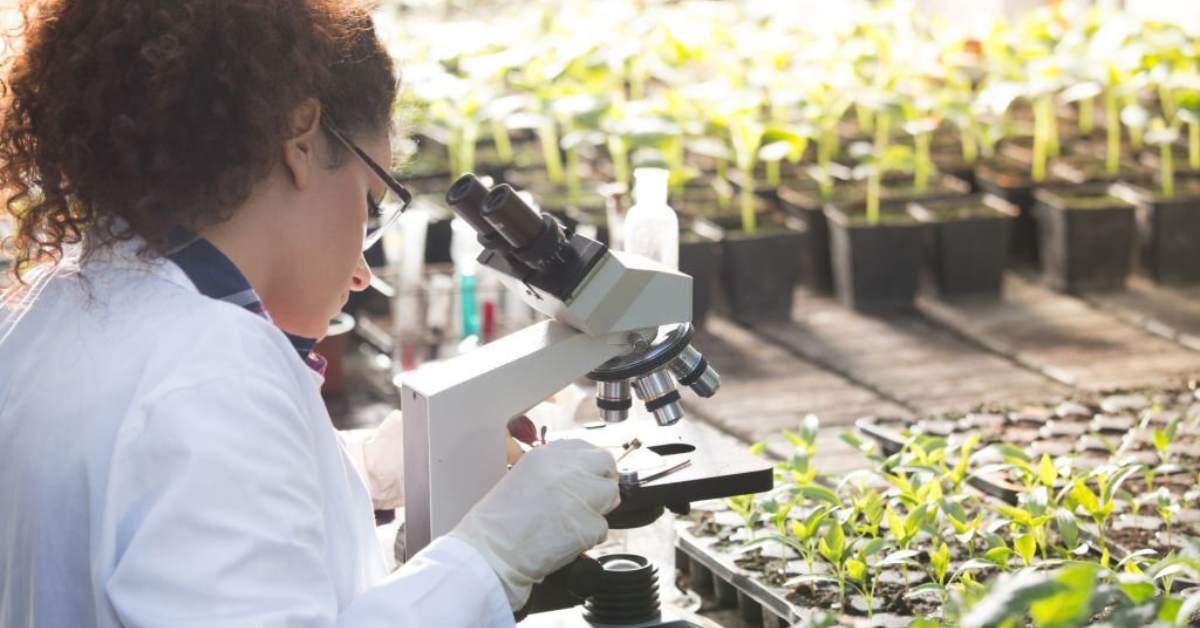 The Contribution Of Molecular Biology To Environmental Science