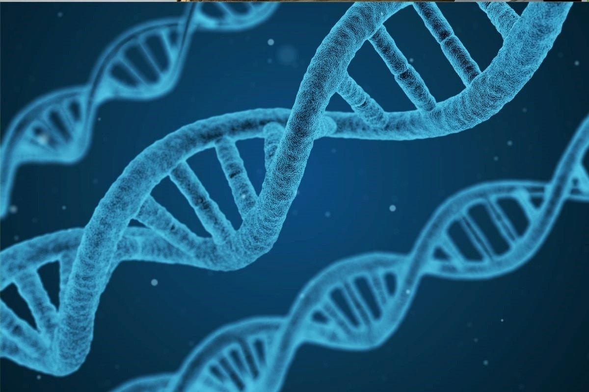 7 Unknown Ways To Quantify Genomic Extracted DNA