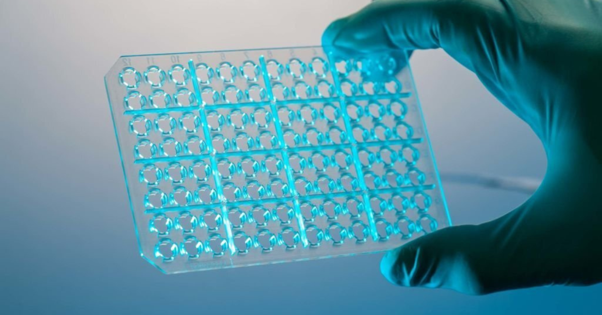 How To Choose The Right PCR Plates?