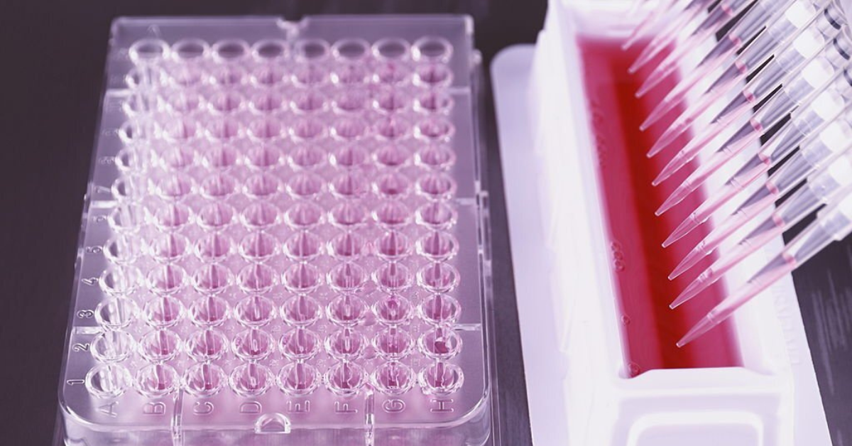 3 Tips For Overcoming 96 Deep Well Plate Mistakes