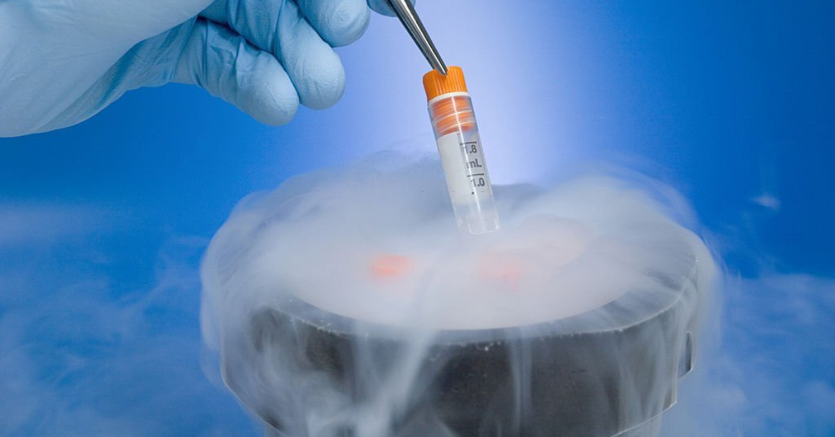How Can You Keep Your Cryogenic Storage?