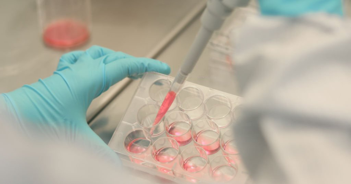 Does Cell Culture Contribute To Vaccine Production?