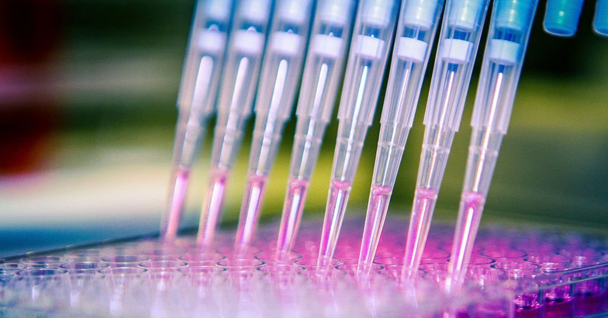 How To Choose The Right Filter Tips For Your Experiment?