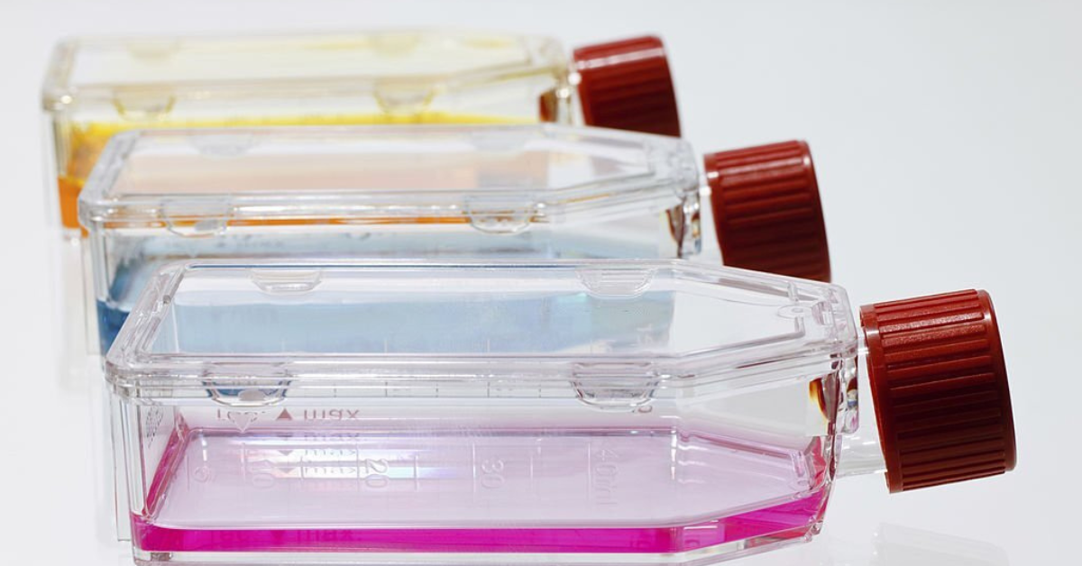 How Has T Flask Improved The Protection Against Contamination?