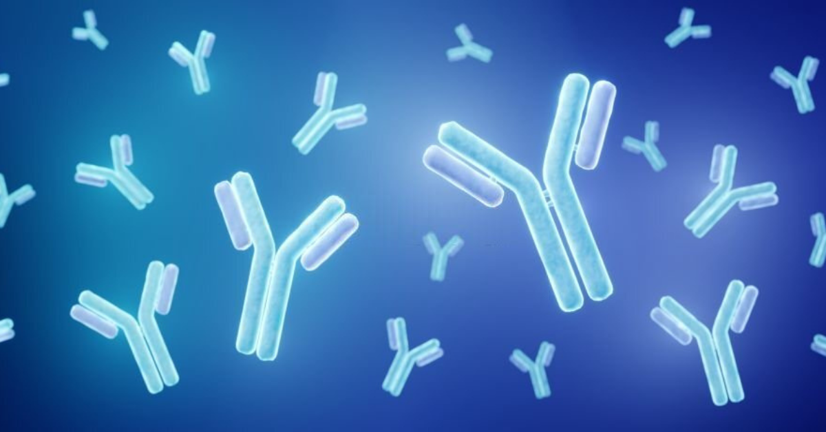 Monoclonal antibodies for disease treatment