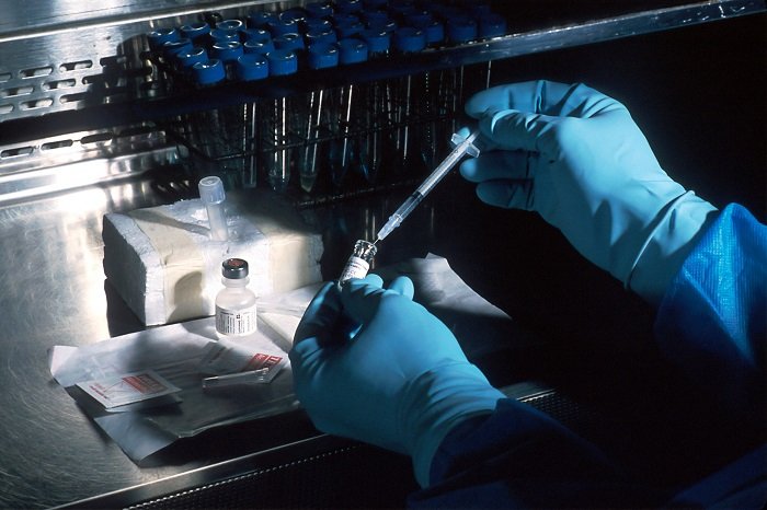 Advancements In Molecular Biological Techniques