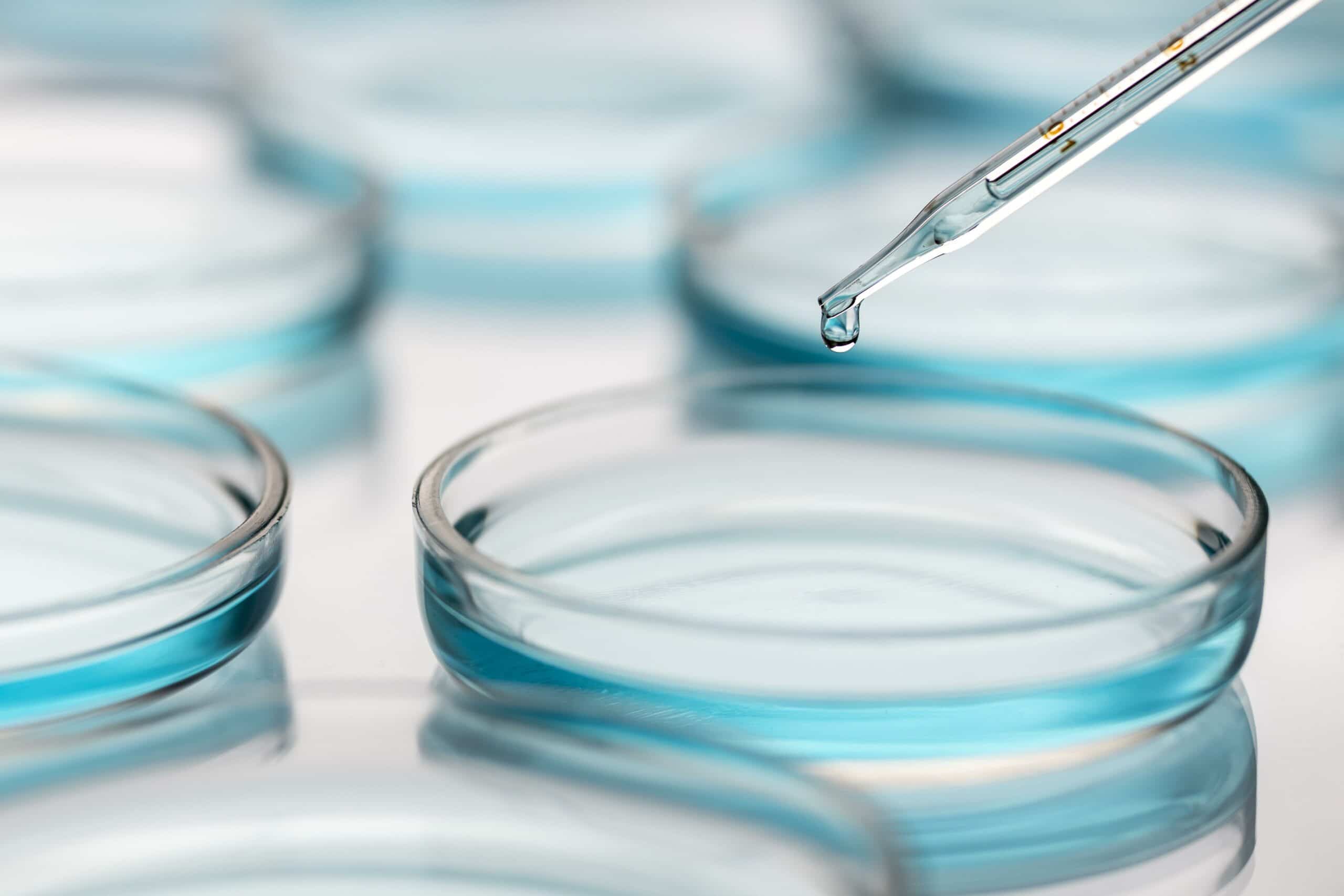5 Tips For Successful Cell Culture 