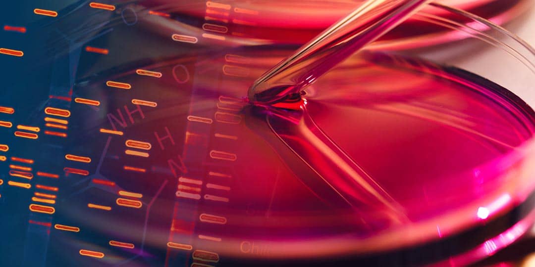 What Is Cell Culture?