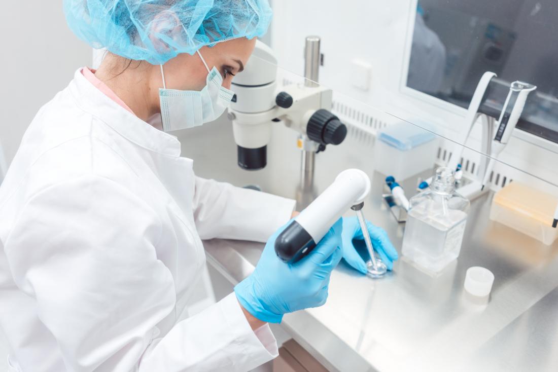 Molecular Cloning vs. Reproductive Cloning